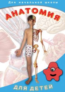 DVD "Анатомия для детей" - fgospostavki.ru - Касимов