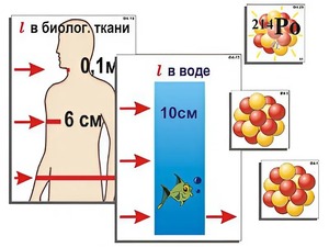 Модель-аппликация "Явление радиоактивности" (ламинированная) - fgospostavki.ru - Касимов
