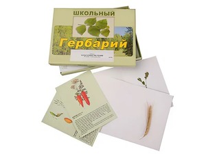Гербарий "Культурные растения" (30 видов, с иллюстрациями) - fgospostavki.ru - Касимов