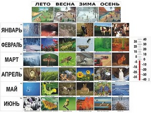 Фенологические наблюдения - fgospostavki.ru - Касимов