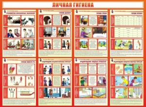 Стенд "Личная гигиена" - fgospostavki.ru - Касимов