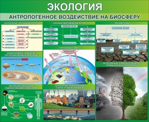Стенд "Экология. Антропогенное воздействие на биосферу" - fgospostavki.ru - Касимов