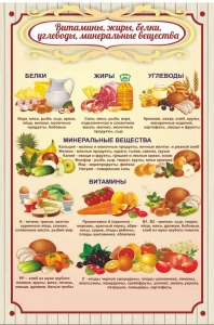 Стенд "Витамины, жиры, белки" - fgospostavki.ru - Касимов