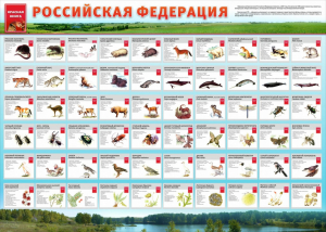 Стенд "Красная книга РФ" - fgospostavki.ru - Касимов