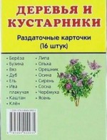 Раздаточные карточки "Деревья и кустарники" - fgospostavki.ru - Касимов