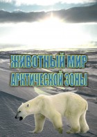DVD "Животный мир Арктической зоны" - fgospostavki.ru - Касимов
