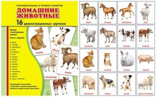 Демонстрационные карточки "Домашние животные" - fgospostavki.ru - Касимов