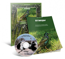 Электронное наглядное пособие «Птицы» - fgospostavki.ru - Касимов