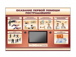 Многофункциональный интерактивный стенд-тренажер "Оказание первой помощи пострадавшим" для учащихся общеобразовательных учреждений - fgospostavki.ru - Касимов