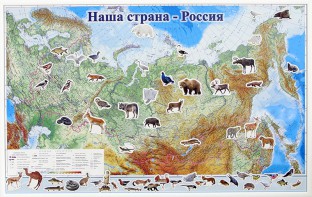 Магнитные карточки "Животные" - fgospostavki.ru - Касимов
