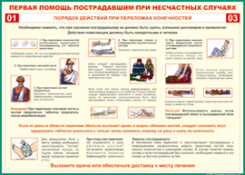 Таблица "Порядок действий при переломах конечностей" (100х140 сантиметров, винил) - fgospostavki.ru - Касимов