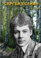 DVD "Сергей Есенин" - fgospostavki.ru - Касимов