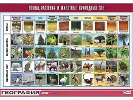 Таблица демонстрационная "Почвы, растения и животные природных зон" (винил 70*100) - fgospostavki.ru - Касимов