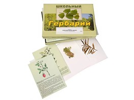 Гербарий "Для начальной школы" (30 видов, с иллюстрациями) - fgospostavki.ru - Касимов
