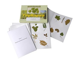Гербарий "Морфология растений" (6 тем, 30 видов) - fgospostavki.ru - Касимов