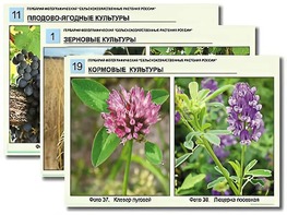 Гербарий фотографический "Сельскохозяйственные растения России" - fgospostavki.ru - Касимов