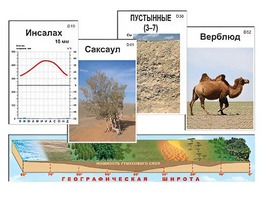 Модель-аппликация "Природные зоны" - fgospostavki.ru - Касимов