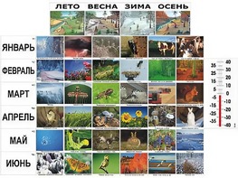 Фенологические наблюдения - fgospostavki.ru - Касимов
