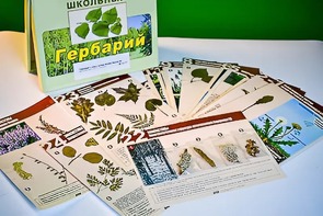 Гербарий к курсу основ общей биологии - fgospostavki.ru - Касимов