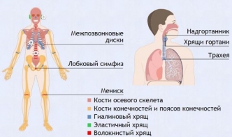 Интерактивные курсы. Биология 9 класс. Базовый. - fgospostavki.ru - Касимов