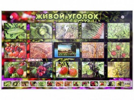 Комплект оборудования "Живой уголок" (растения) с тифлопереводом и сурдокомментариями - fgospostavki.ru - Касимов