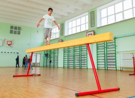 Бревно гимнастическое напольное постоянной высоты (700 мм) (5 м) - fgospostavki.ru - Касимов