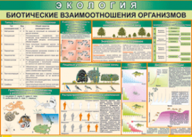 Таблица "Биотические взаимоотношения организмов" (100х140 сантиметров, винил) - fgospostavki.ru - Касимов