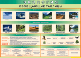 Таблица "Экология. Обобщающие таблицы" (100х140 сантиметров, винил) - fgospostavki.ru - Касимов