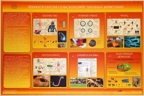Электрифицированный стенд «Эпизоотология сельскохозяйственных животных» - fgospostavki.ru - Касимов