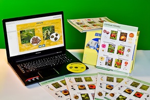 Коллекция натурально-интерактивная "Семена и плоды" - fgospostavki.ru - Касимов