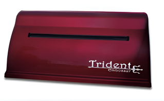 Принтер для печати рельефно-точечным шрифтом Брайля Trident - fgospostavki.ru - Касимов