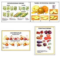Плакаты ПРОФТЕХ "Ассортимент овощных культур" (12 пл, винил, 70х100) - fgospostavki.ru - Касимов
