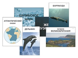 Модель-аппликация "Океаны. Знакомство" (ламинированная) - fgospostavki.ru - Касимов