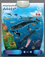 Озвученный плакат "Подводный мир" - fgospostavki.ru - Касимов