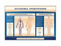 Электрифицированный стенд-тренажер "Остановка кровотечения" - fgospostavki.ru - Касимов
