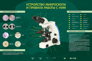Электрифицированный стенд "Устройство микроскопа и правила работы c ним" - fgospostavki.ru - Касимов