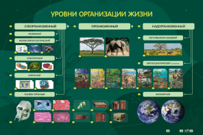 Электрифицированный стенд "Уровни организации жизни" - fgospostavki.ru - Касимов