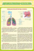 Стенд "Дыхательная система" - fgospostavki.ru - Касимов