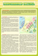 Стенд "Биосинтез белка" - fgospostavki.ru - Касимов