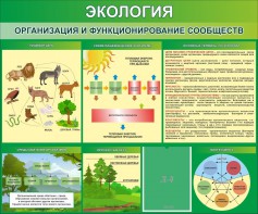 Стенд "Экология. Организация и функционирование сообществ" - fgospostavki.ru - Касимов