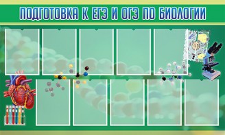 Стенд "Подготовка к ЕГЭ и ОГЭ по биологии" Вариант 2 - fgospostavki.ru - Касимов
