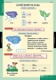 Комплект таблиц. Русский язык. Обучение грамоте 2 класс. - fgospostavki.ru - Касимов